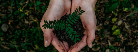 Earth Day & Sustainable Alternatives to Smoking | Übbs Pouches Übbs Pouches