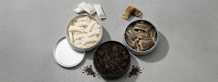 Snus vs Dip vs Nicotine Pouches: What’s the Difference?
